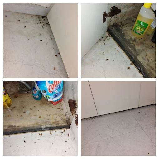 Ultima Pest Control