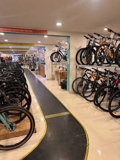 D Byk Store