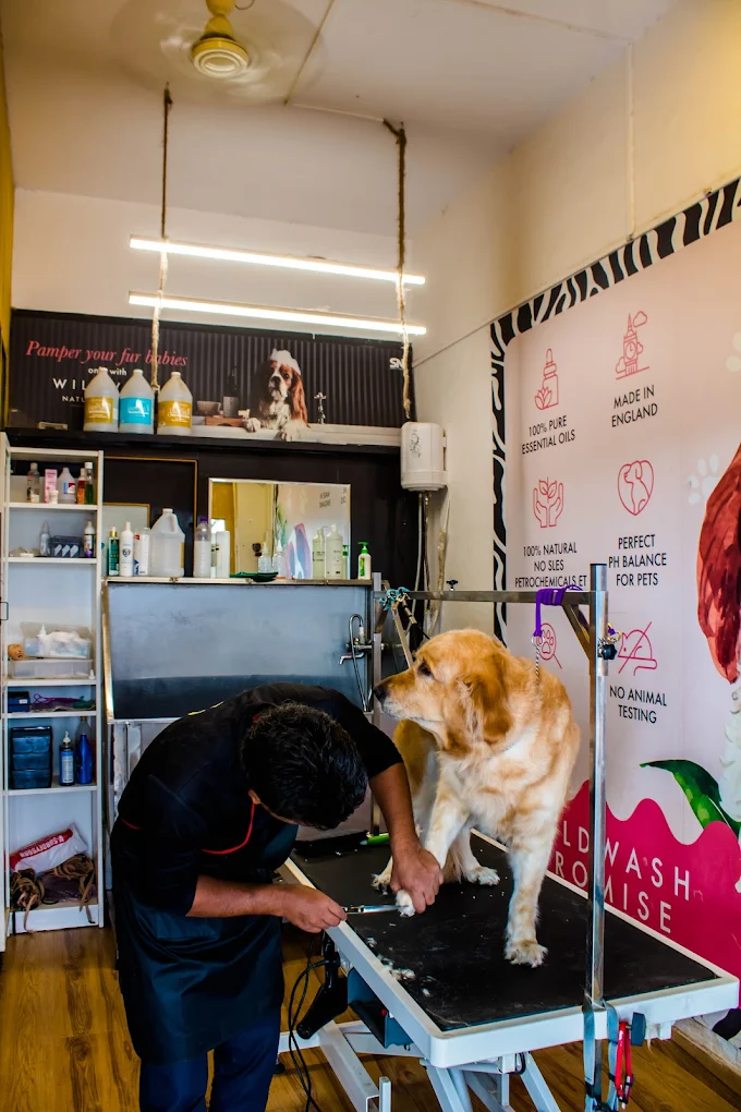Sniffy Nose Pet Store