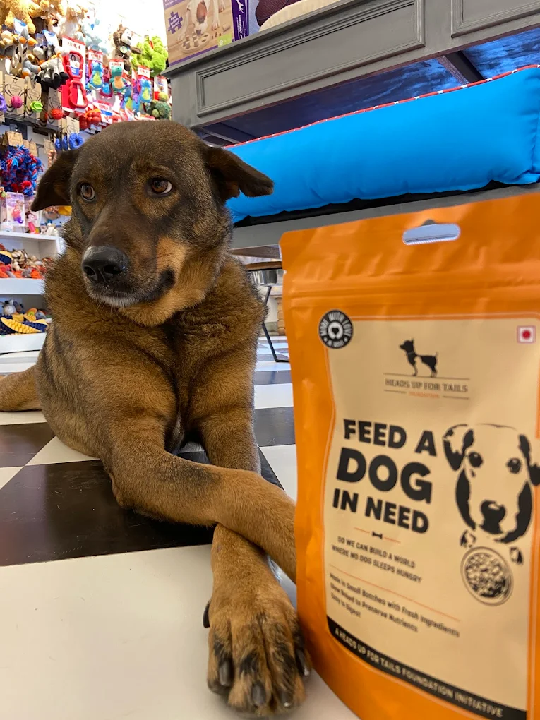 Heads Up For Tails Pet Store