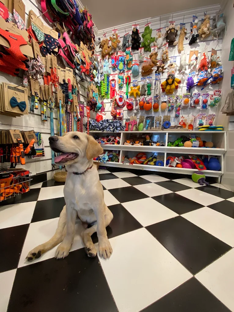 Heads Up For Tails Pet Store