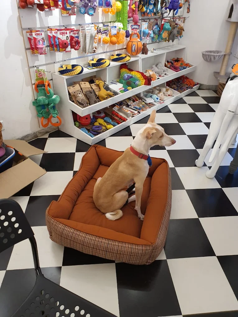 Heads Up For Tails Pet Store
