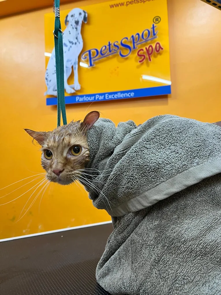The One Stop Pet Shop