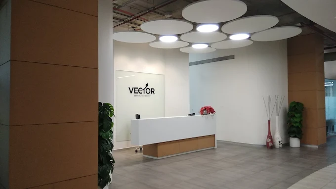 Vector Consulting Group