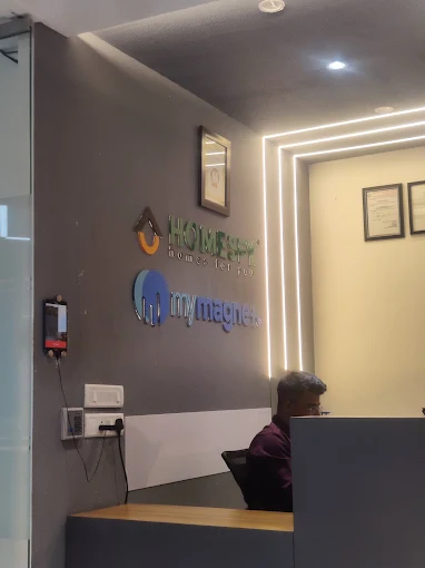 Homesfy Realty Ltd
