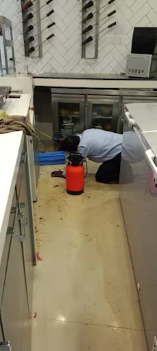 Hidden Bugs Pest Control