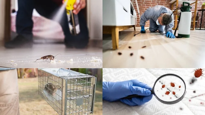 Royal Pest Control