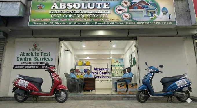 Absolute Pest Control Services