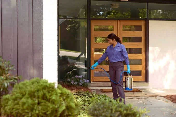 Lifecycle Pest Control