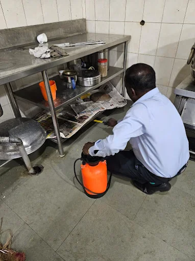 Master Pest Control Services