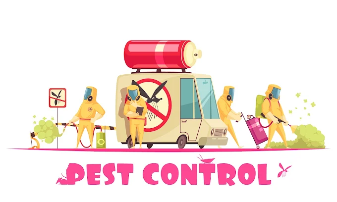 Clean Up Pest Control