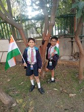 Amanora School