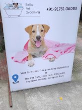 Complete Pet Care Clinic