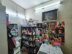 Complete Pet Care Clinic