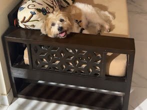 Petsysoul Pet Boarding & Day Care Center