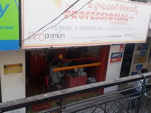 The Professional Couriers