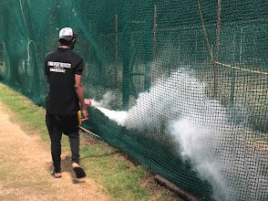 Asian Pest Control Services