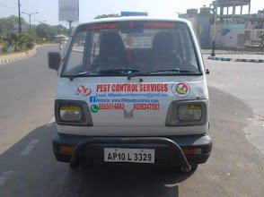 999 Pest Control Services