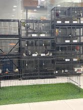 Danny Pet Store & Kennels