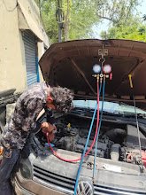 Mg Car Care