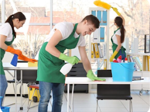 Washtog Home Deep Cleaning Services