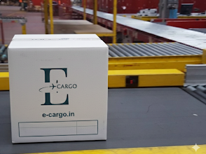 E-Cargo Services