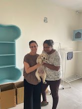Pawsitive Pets