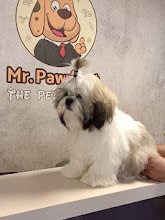 Mr. Pawfect