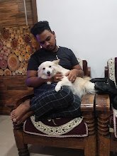 Vamshi Pet Boarding