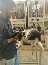 Soulmate Pet Services