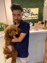 Yes Paws Pet Spa