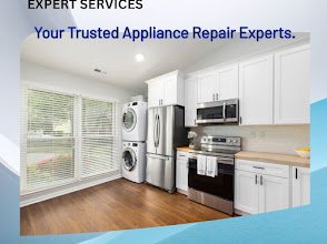 Expert Services