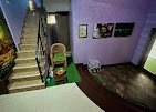 Green Day Spa - Velachery