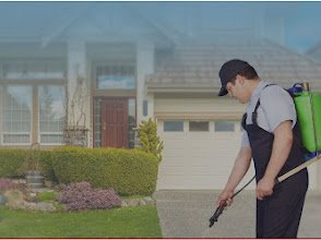 Core Pest Control Service