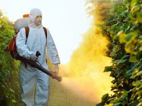Ankita Pest Control Services