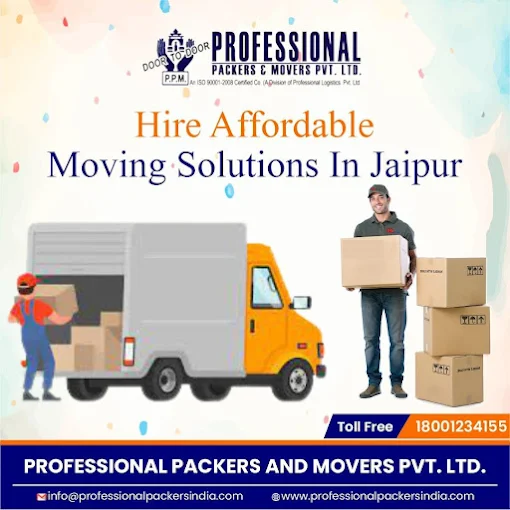 Professional Packers And Movers Pvt Ltd