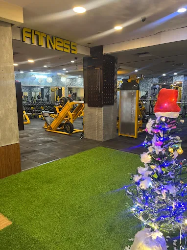 Lemon fit gym