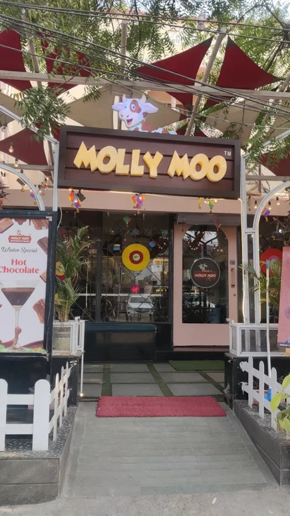 Molly Moo Ice Creams