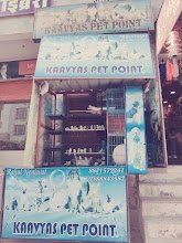 KAAVYAS PET POINT