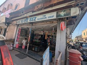 Machali Ghar Jodhpur the complete pet shop