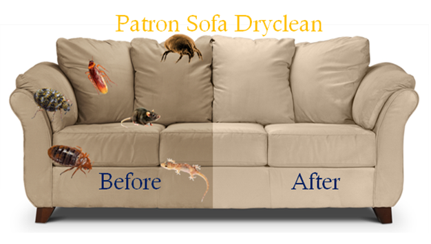 Patron Sofa Dry Clean and house cleaning Service