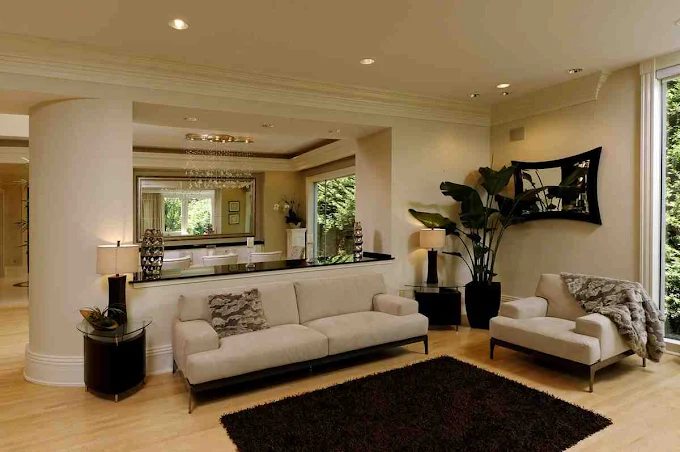 Home Renovation and Painting Contractors