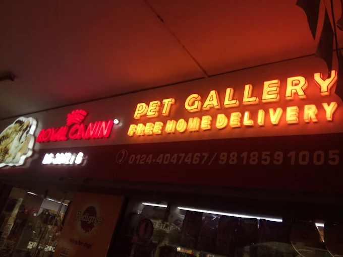 Pet Gallery
