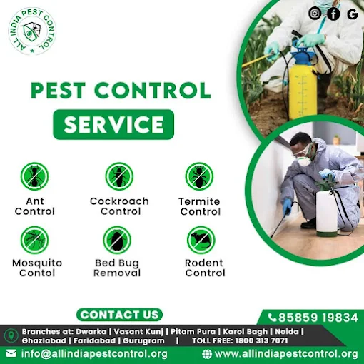 All India Pest Control