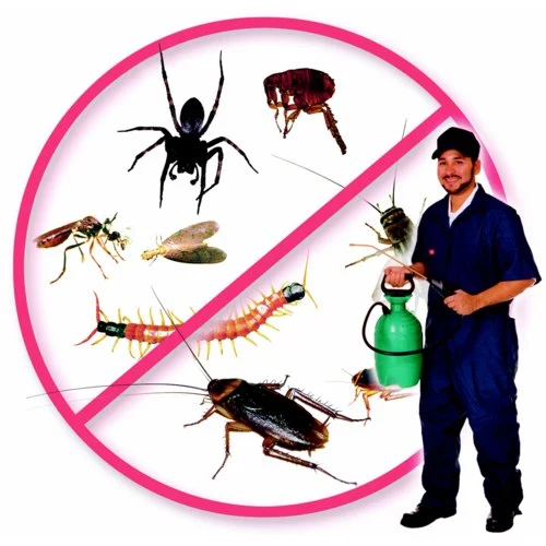 Service Mantra Pest Control
