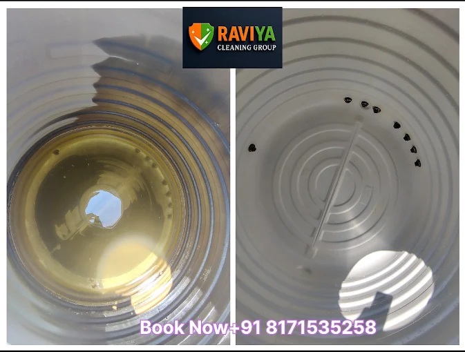 RAVIYA CLEANING