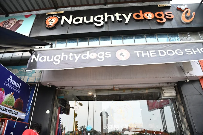 Naughty Dogs
