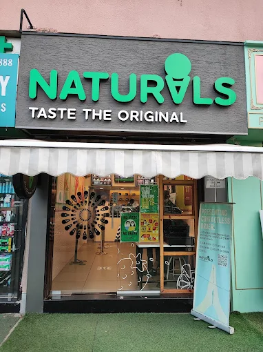 Naturals Ice Cream