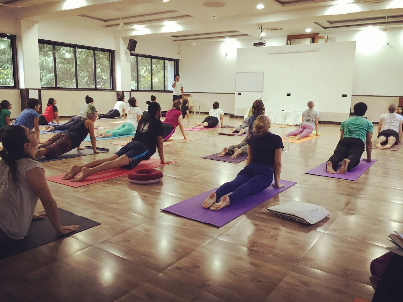The Yoga Institute