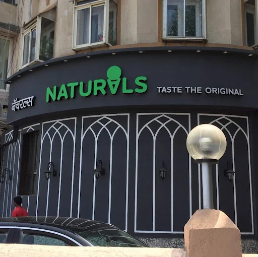Naturals Ice Cream